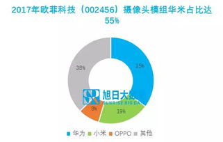 國產品牌崛起與軟件開發上市公司的客戶結構機遇
